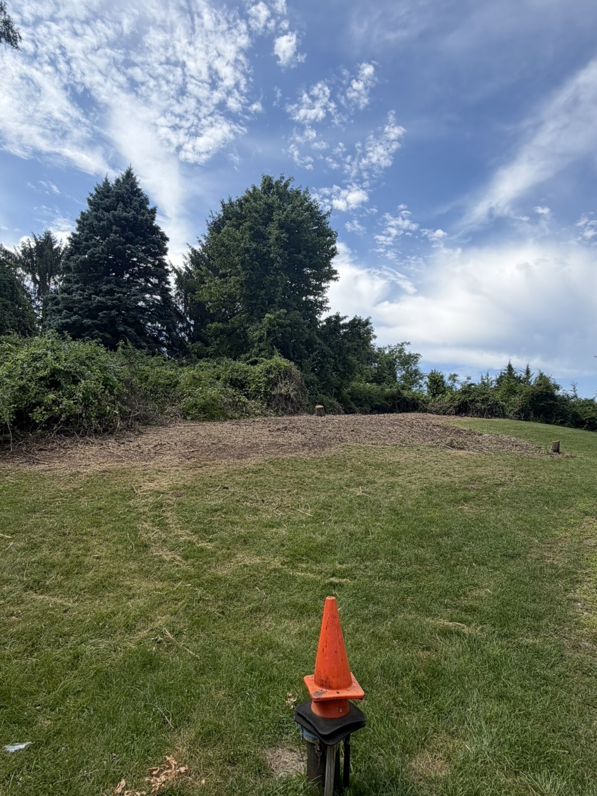 Spring & Fall Cleanups