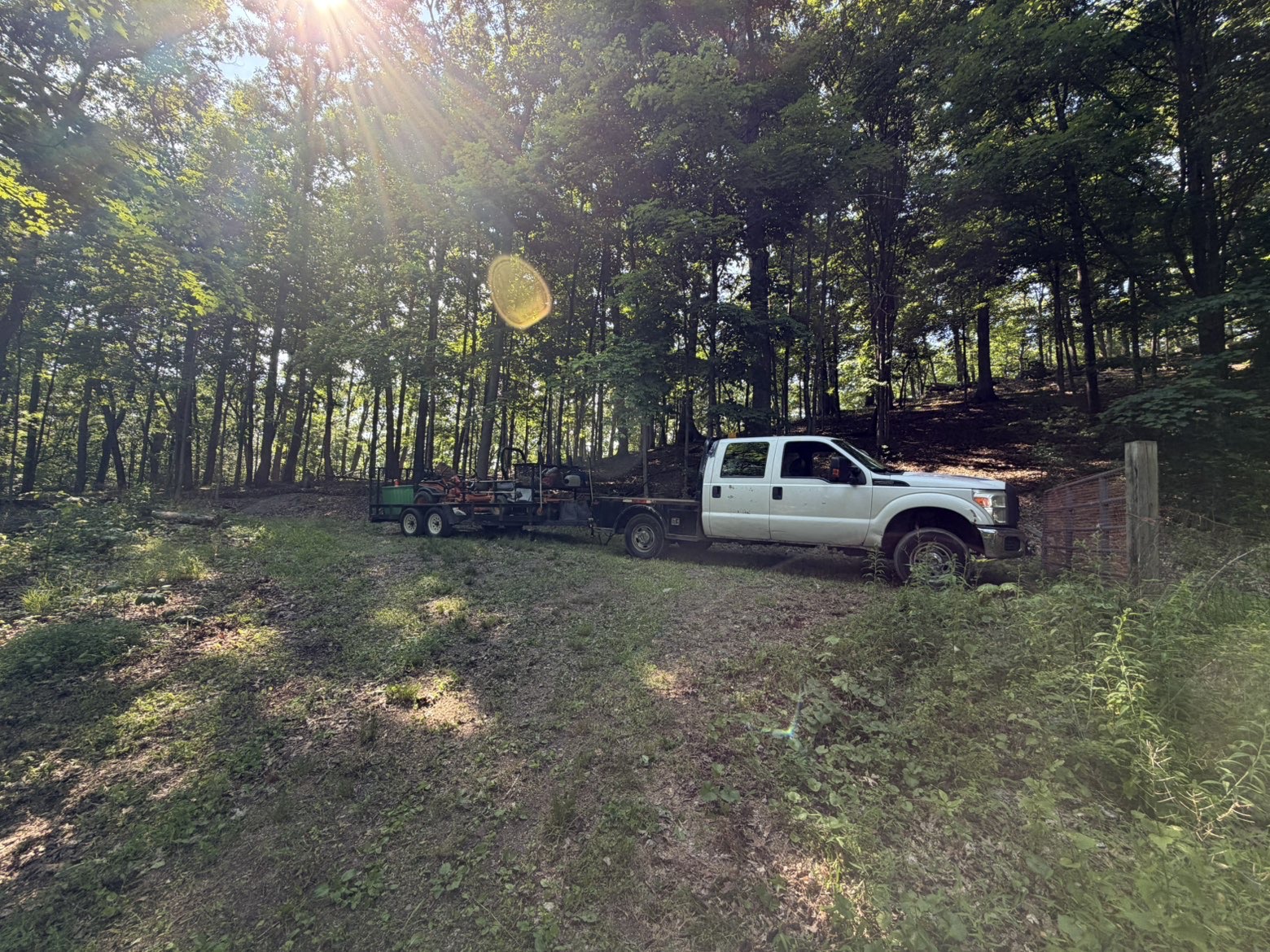Land Clearing & Forestry Mulching